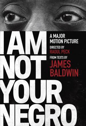 bigCover of the book I Am Not Your Negro by 
