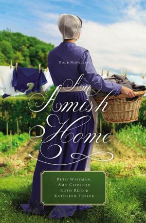 Cover of the book An Amish Home by E. D. Hill