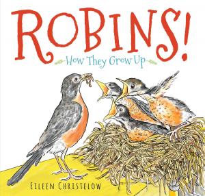 bigCover of the book Robins! by 