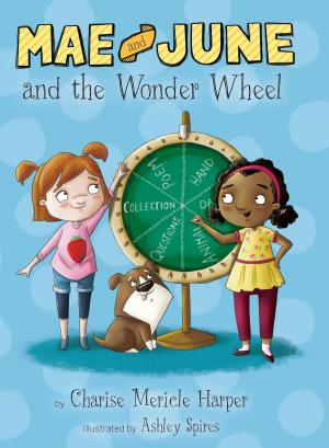 Cover of the book Mae and June and the Wonder Wheel by Lawrence H Klibbe