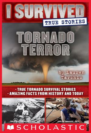 Book cover of Tornado Terror (I Survived True Stories #3)