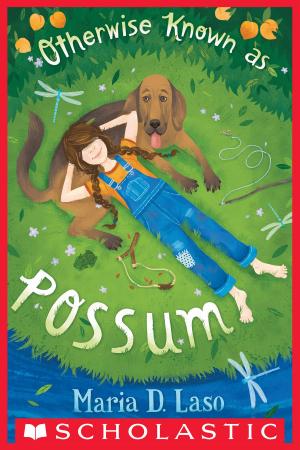 Cover of the book Otherwise Known as Possum by R. L. Stine