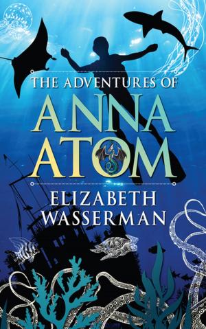 Cover of the book The Adventures of Anna Atom by Dylan Lee Peters