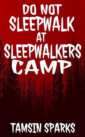 Cover of the book Do Not Sleepwalk At Sleepwalkers Camp by James L. Wilber