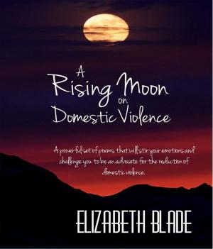 Cover of the book A Rising Moon on Domestic Violence by Shaun Sturz