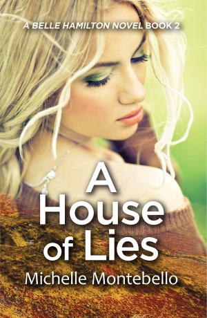Cover of the book A House of Lies by AnnMarie Stone