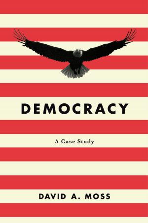 Cover of the book Democracy by Monica Azzolini