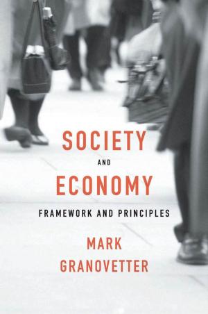 Cover of the book Society and Economy by Jeremy Bernstein