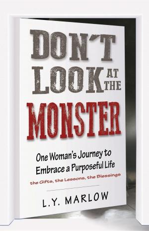 Cover of the book Don't Look at the Monster by Steven Ossie Osborne