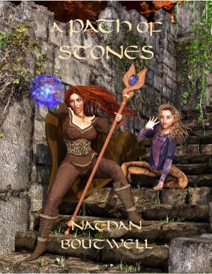 bigCover of the book A Path of Stones by 