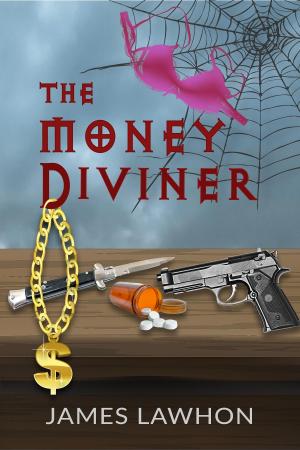 Cover of the book The Money Diviner by E.J. Fechenda