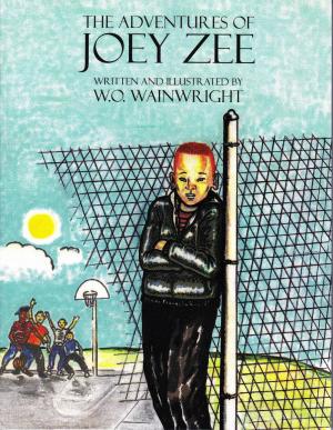 Book cover of The Adventures of Joey Zee