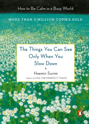 Cover of the book The Things You Can See Only When You Slow Down by Teresa Strasser