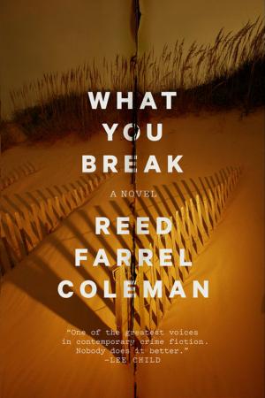 Cover of the book What You Break by Paul Hina