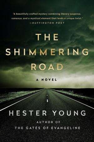 Cover of the book The Shimmering Road by Geoff Nicholson