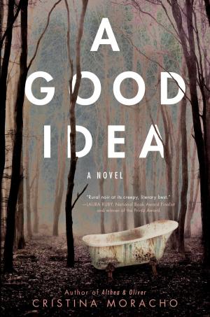 Cover of the book A Good Idea by Oliver Jeffers