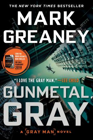 Book cover of Gunmetal Gray