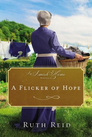 Cover of the book A Flicker of Hope by Max Anders