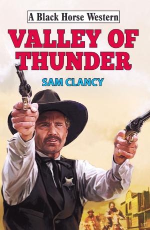 Cover of the book Valley of Thunder by Abe Dancer