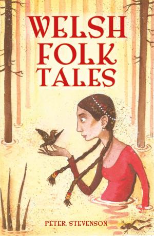 Cover of the book Welsh Folk Tales by Edward Pinnegar