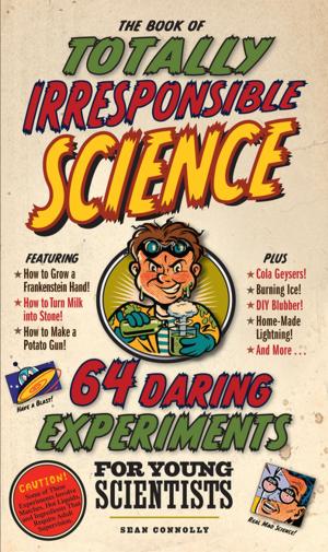 Cover of the book The Book of Totally Irresponsible Science by Joy Masoff