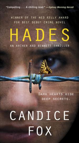 Cover of the book Hades by Kurt Anderson