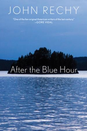 Book cover of After the Blue Hour