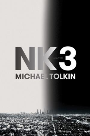 Cover of the book NK3 by Rabih Alameddine