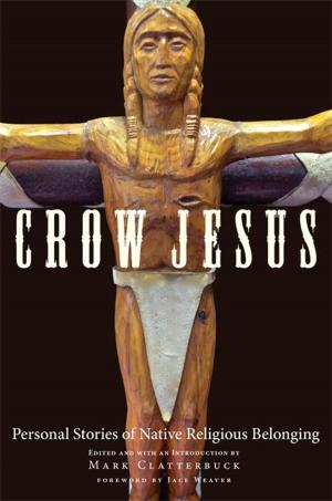 Cover of the book Crow Jesus by Stephen Ridd