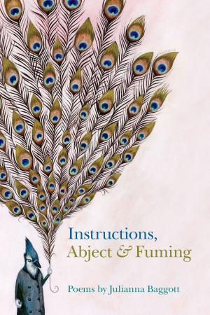 Cover of the book Instructions, Abject & Fuming by Michelle Hall Kells