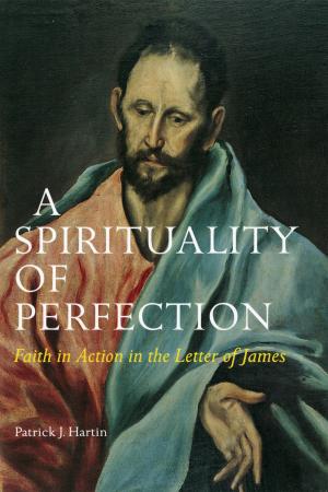 bigCover of the book A Spirituality of Perfection by 