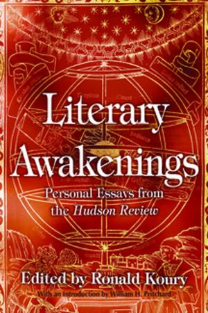Cover of the book Literary Awakenings by Amy Young Evrard