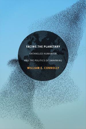 Cover of the book Facing the Planetary by Melanie S. Morrison