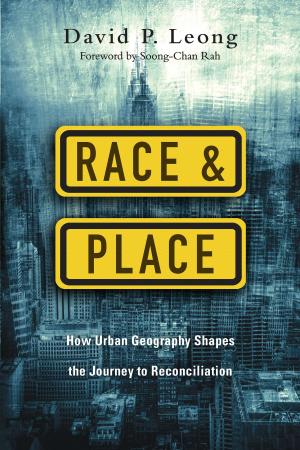 Cover of the book Race and Place by E. Randolph Richards, Brandon J. O'Brien