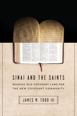 Cover of the book Sinai and the Saints by Dr Martin Davie, Dr Tim Grass, Dr John McDowell, Dr Thomas Noble, Dr Stephen Holmes