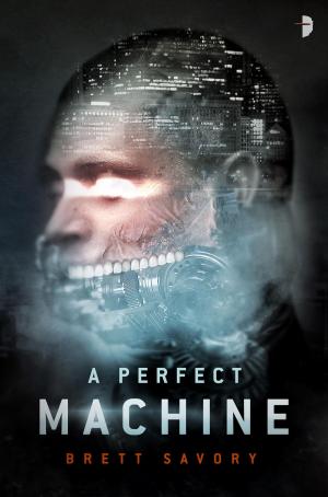 Cover of the book A Perfect Machine by Amber Hatch