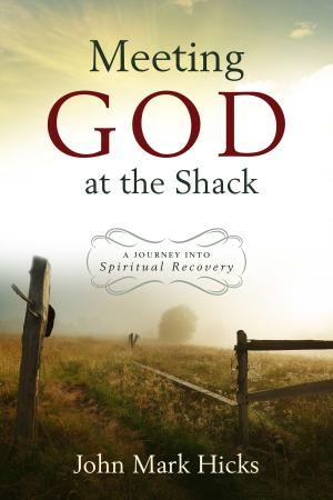 Book cover of Meeting God at the Shack