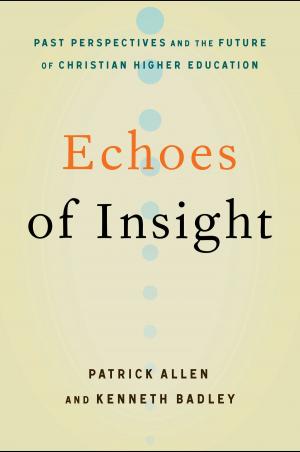 Cover of the book Echoes of Insight by Susan DiMickele