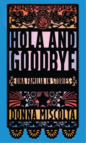 Cover of the book Hola and Goodbye by Moira Crone
