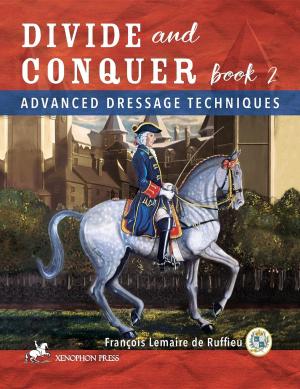 Cover of the book Divide and Conquer Book 2 by Charles de Kunffy