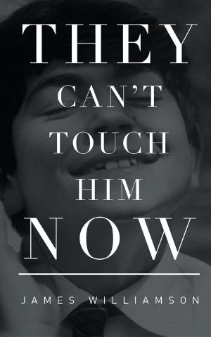 bigCover of the book They Can't Touch Him Now by 