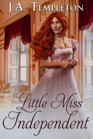 Cover of the book Little Miss Independent by J.A. Templeton
