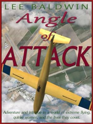 Cover of the book Angle of Attack by J.Z.N. McCauley