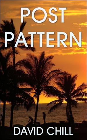 Cover of the book Post Pattern by Jonathan Latimer