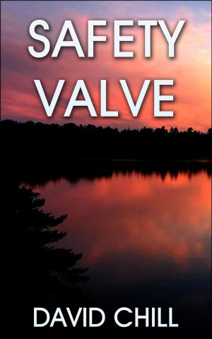 Cover of the book Safety Valve by chuck swope