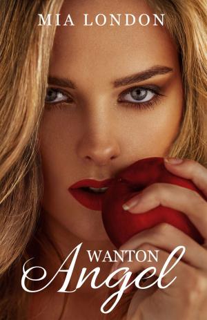 Book cover of Wanton Angel