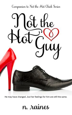Cover of the book Not the Hot Guy by Maggie Adams