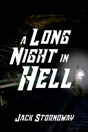 Cover of the book A Long Night in Hell by George McGilvary