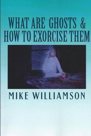 Book cover of What are Ghosts & How to Exorcise Them