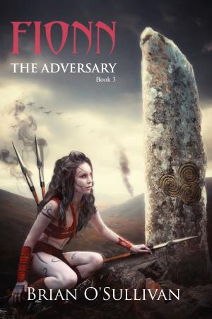 Cover of the book Fionn The Adversary by JJ Sherwood